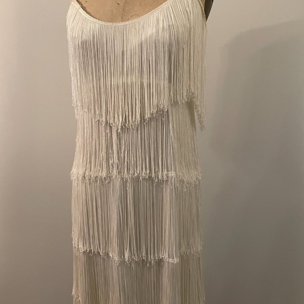 Elegant White Fringe Dress - Picture 6 of 16